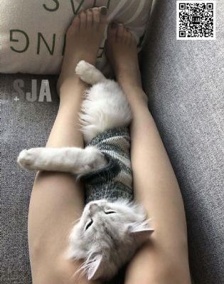 天天干视频在线观看_BD在线观看高清