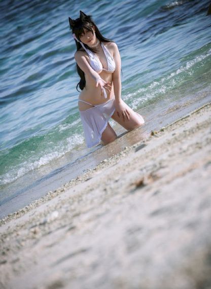 咪咪流浪记dvd高清观看视频_蓝光电影全集观看